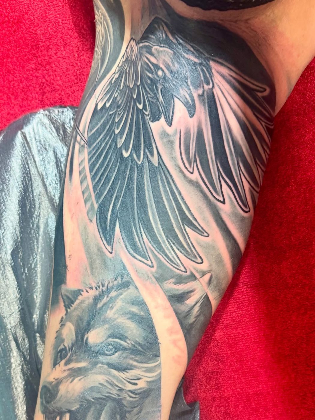 Rabe und Wolf in Black & Grey